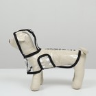 Дождевик для собак, размер XS (ДС 18, ОГ 25-30, ОШ 25 см), чёрный - Фото 5