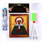 Алмазная вышивка «Матрона», 21×25 см, холст, ёмкость, с частичным заполнением - Фото 2