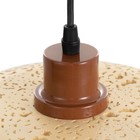 Светильник BayerLux «Ориана» G9 25×25×13-110 см - фото 22219005