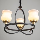 Люстра «Кантри» 3×40 Вт Е27 черно-золотой 50×50×50 см BayerLux - Фото 3