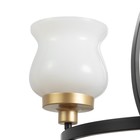 Люстра «Кантри» 3×40 Вт Е27 черно-золотой 50×50×50 см BayerLux - Фото 6