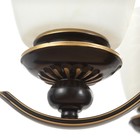 Люстра потолочная BayerLux «Аруна», 6×40 Вт, Е27, черный, 67×67×46 см 9215499 - фото 10491284