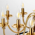 Люстра "Антер" 12х40Вт Е14 латунь 75х75х50 см BayerLux 9215504