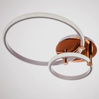 Светильник «Джекми» 2xLED 90 Вт золото 50×65×12 см BayerLux - фото 3852468