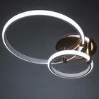 Светильник «Джекми» 2xLED 90 Вт золото 50×65×12 см BayerLux - фото 3852470