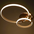 Светильник «Джекми» 2xLED 90 Вт золото 50×65×12 см BayerLux - фото 3852471