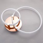 Светильник «Джекми» 2xLED 90 Вт золото 50×65×12 см BayerLux - фото 3852474