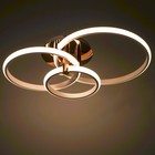 Светильник «Джекми» 3xLED 110 Вт золото 72×55×16 см BayerLux - фото 3852481