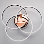 Светильник «Финди» 3xLEd=160 Вт черный BayerLux - фото 4372064