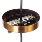 Светильник BayerLux "Листья" E27 40Вт медь 17х17х22 см - фото 22220047