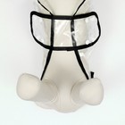 Дождевик для собак, размер L (ДС 30, ОГ 41-46, ОШ 42 см), чёрный - Фото 6