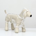 Дождевик для собак, размер L  (ДС 30, ОГ 41-46, ОШ 42 см), белый - фото 10831254