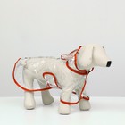 Дождевик для собак, размер M (ДС 26, ОГ 38-41, ОШ 40 см), красный - Фото 2