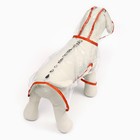 Дождевик для собак, размер M (ДС 26, ОГ 38-41, ОШ 40 см), красный - Фото 4