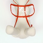 Дождевик для собак, размер M (ДС 26, ОГ 38-41, ОШ 40 см), красный - Фото 6