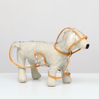 Дождевик для собак, размер S  (ДС 22, ОГ 35-38, ОШ 36 см), оранжевый - фото 319467257
