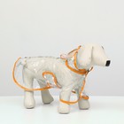 Дождевик для собак, размер S  (ДС 22, ОГ 35-38, ОШ 36 см), оранжевый - фото 9282899