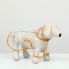 Дождевик для собак, размер S (ДС 22, ОГ 35-38, ОШ 36 см), оранжевый - Фото 2