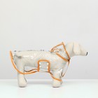 Дождевик для собак, размер S  (ДС 22, ОГ 35-38, ОШ 36 см), оранжевый - Фото 3
