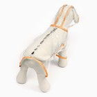 Дождевик для собак, размер S  (ДС 22, ОГ 35-38, ОШ 36 см), оранжевый - фото 9282901