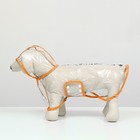 Дождевик для собак, размер S  (ДС 22, ОГ 35-38, ОШ 36 см), оранжевый - Фото 5