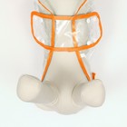 Дождевик для собак, размер S  (ДС 22, ОГ 35-38, ОШ 36 см), оранжевый - фото 9282903