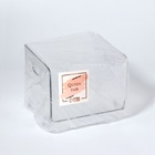 Органайзер для хранения, с ручками, 1 секция, 16.5×15×13 см, прозрачный - Фото 7