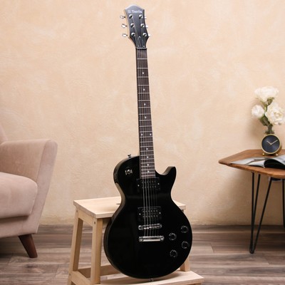 Электрогитара TERRIS TLP-039 BK Les Paul, HH, 2V2T, чёрная