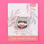Значок талисман «Енот»,3,2 х 3,3 см. - фото 24247320