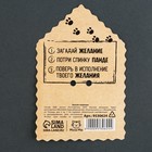 Значок деревянный «Талисман на исполнение желаний», 4×3.5 см - Фото 7