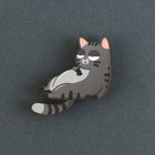 Значок деревянный «Талисман на пофигизм», 4×3.7 см - Фото 2