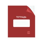 Тетрадь 24 листа в клетку Calligrata "Однотонная Классика с уголком. Эконом", обложка мелованный картон, ВД-лак, блок №2 (серые листы), МИКС 7770470 - фото 14289280