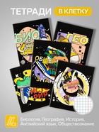 Набор предметных тетрадей Calligrata TOP «Кеды», 12 предметов, 48 листов, со справочным материалом, картонная обложка - Фото 3