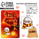 Значки деревянные, неразлучники «Наша дружба это магия», 2 шт., 8×12 см - Фото 1