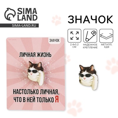 Значок деревянный «Кот в очках», 2.4×3.2 см