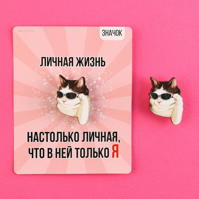 Значок деревянный «Кот в очках», серия мемы , 2,4 х 3,2 см - Фото 1