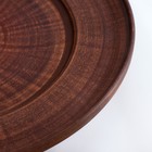 Тарелка «Гладкий», d=25 см, красная глина - Фото 3