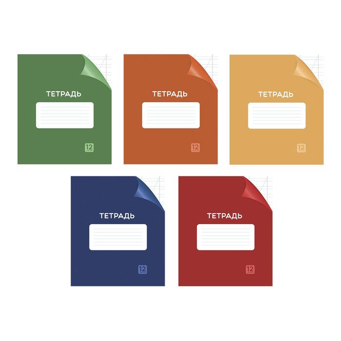 

Тетрадь 12 листов в косую линию Calligrata "Однотонная Классика с уголком", обложка мелованный картон, ВД-лак, блок №2 (серые листы), МИКС