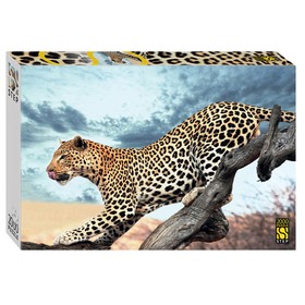 Пазл «Леопард в дикой природе», 2000 элементов