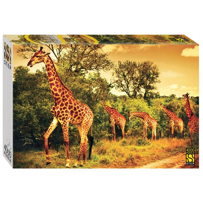 Пазл «Южноафриканские жирафы», 4000 элементов