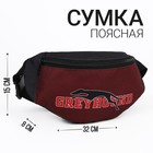Поясная сумка "Борзая", на молнии, цвет бордовый - фото 319469079