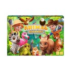 Настольная развлекательная игра Animal Discovery 9634087 - фото 9852636