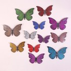 Набор для украшения «Бабочки», серебряный слой, 12 штук, цвета МИКС - фото 281260424