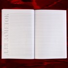 Дневник сексуальной жизни А5, мягкая обложка, 50 листов. - Фото 9