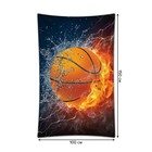 Декоративное панно с фотопечатью «Баскетбольная стихия», вертикальное, размер 100х150 см - Фото 2