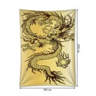 Декоративное панно с фотопечатью «Яростный дракон», вертикальное, размер 150х200 см - фото 9928996