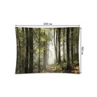 Декоративное панно с фотопечатью «Лес в тумане», горизонтальное, размер 150х200 см - Фото 2