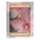 Фотошторы «Орхидеи на водной глади», сатен, размер 145х265 см, 2 шт - Фото 3