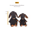 Мягкая игрушка «Ваксон в берете и шарфе», 25 см - фото 25547117