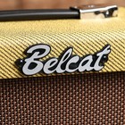 Гитарный комбоусилитель V10G Vintage Series, 10Вт, Belcat - Фото 3